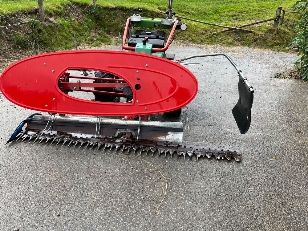 Rapid 507 Kaufen auf Ricardo