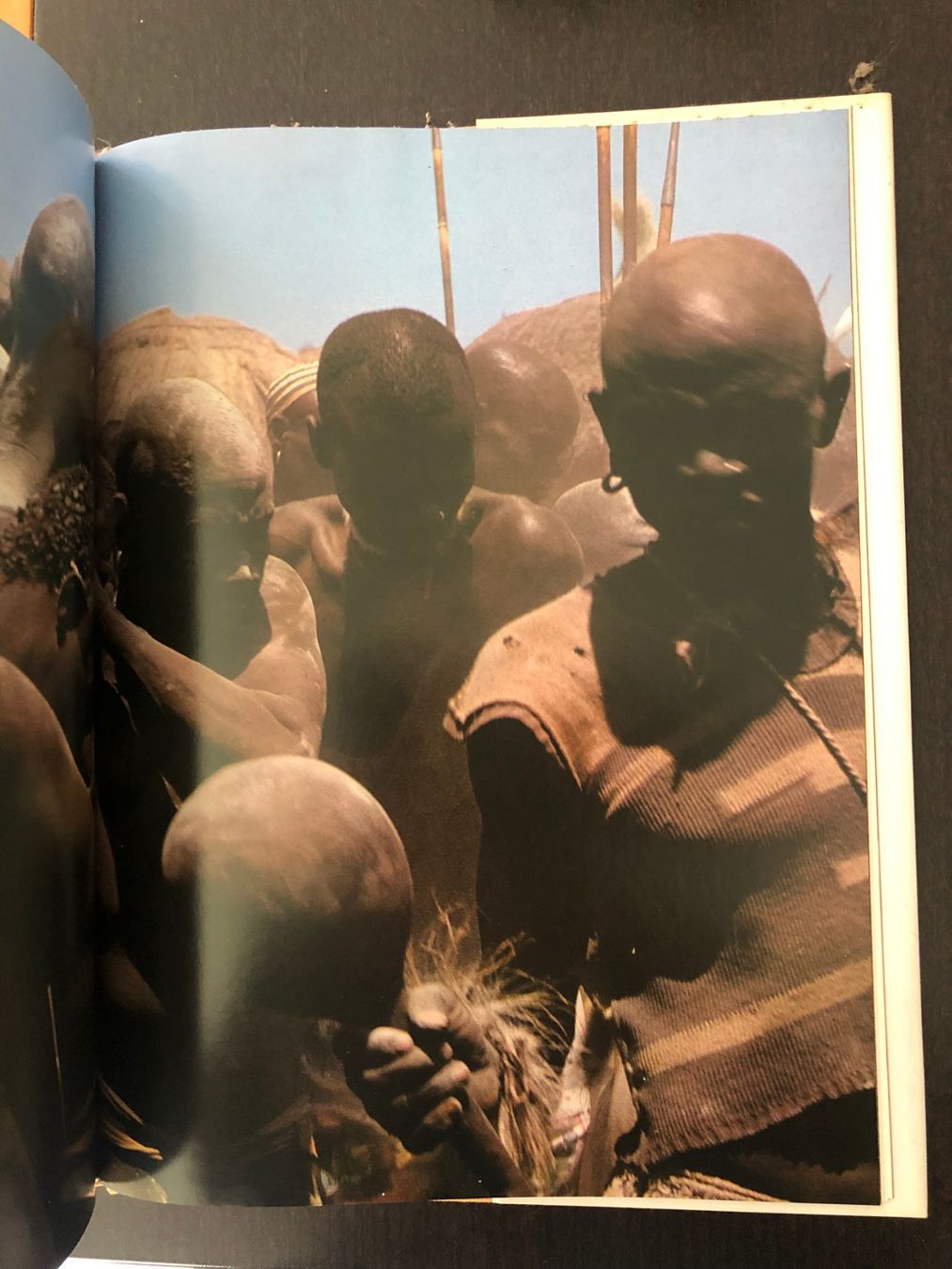 Libri: Leni Riefenstahl  Die Nuba – Usato da Pfäffikon ZH venduto da Waltoversand 1