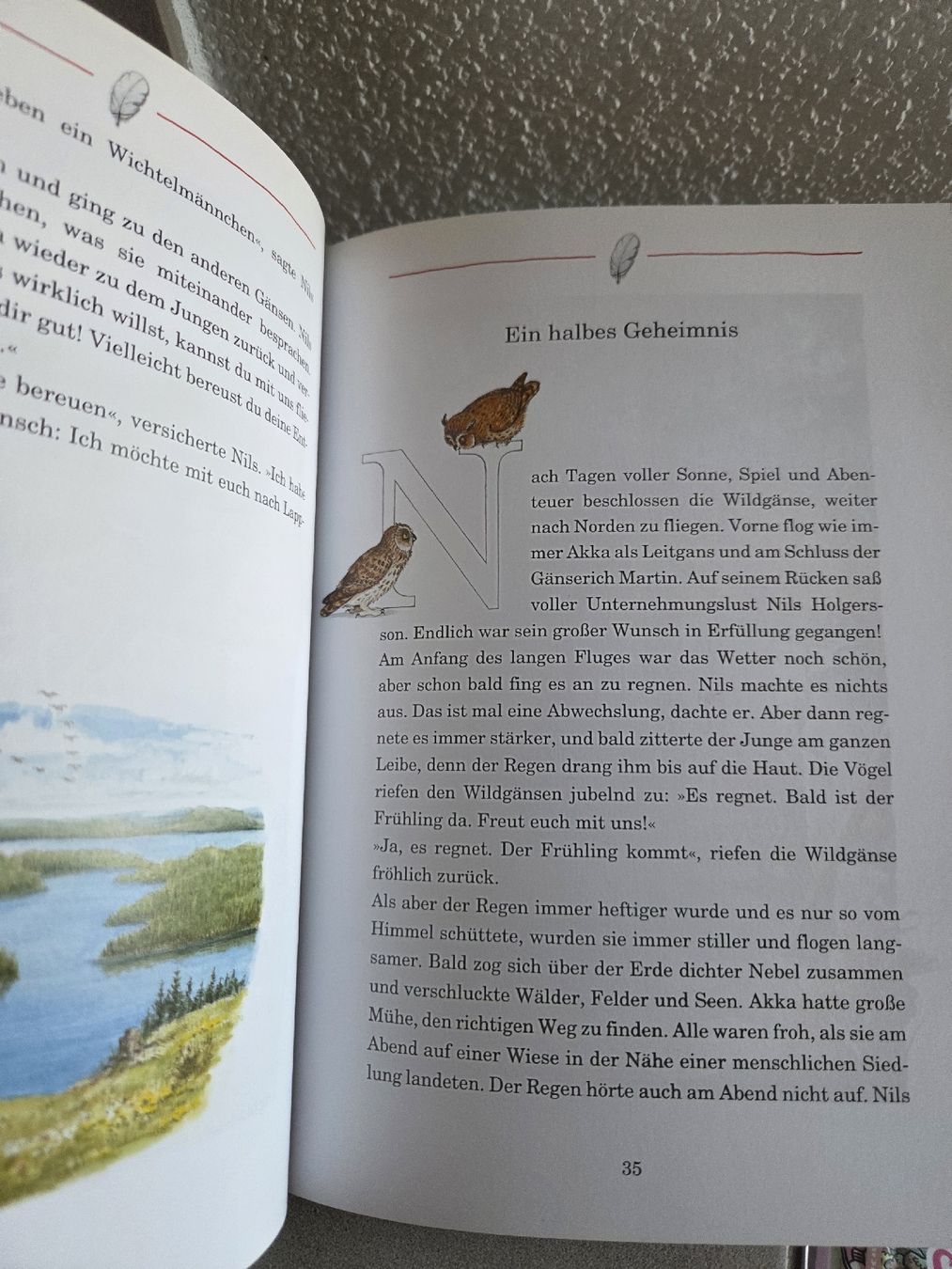 Libri: Kinderbuchklassiker: Nils Holgerssons wunderbare Reise – Usato da Schlierbach venduto da smeralda1313 2