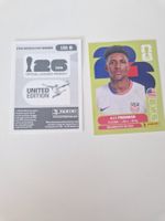 Panini Sticker USA6