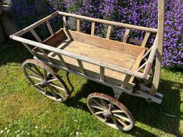 Leiterwagen Leiterwägeli
