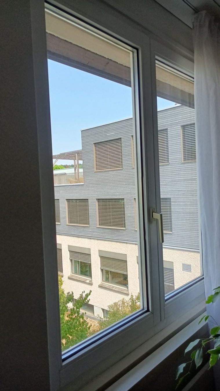 Finestre: 9 Fensterflügel – Usato da Dättwil AG venduto da PorscheFans 1