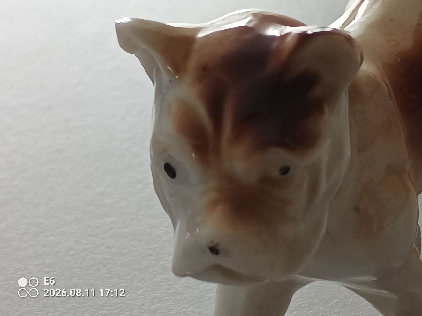 Statuette: Porzellanhund – Nuovo (secondo la descrizione) da Zürich venduto da Mitzi6 1