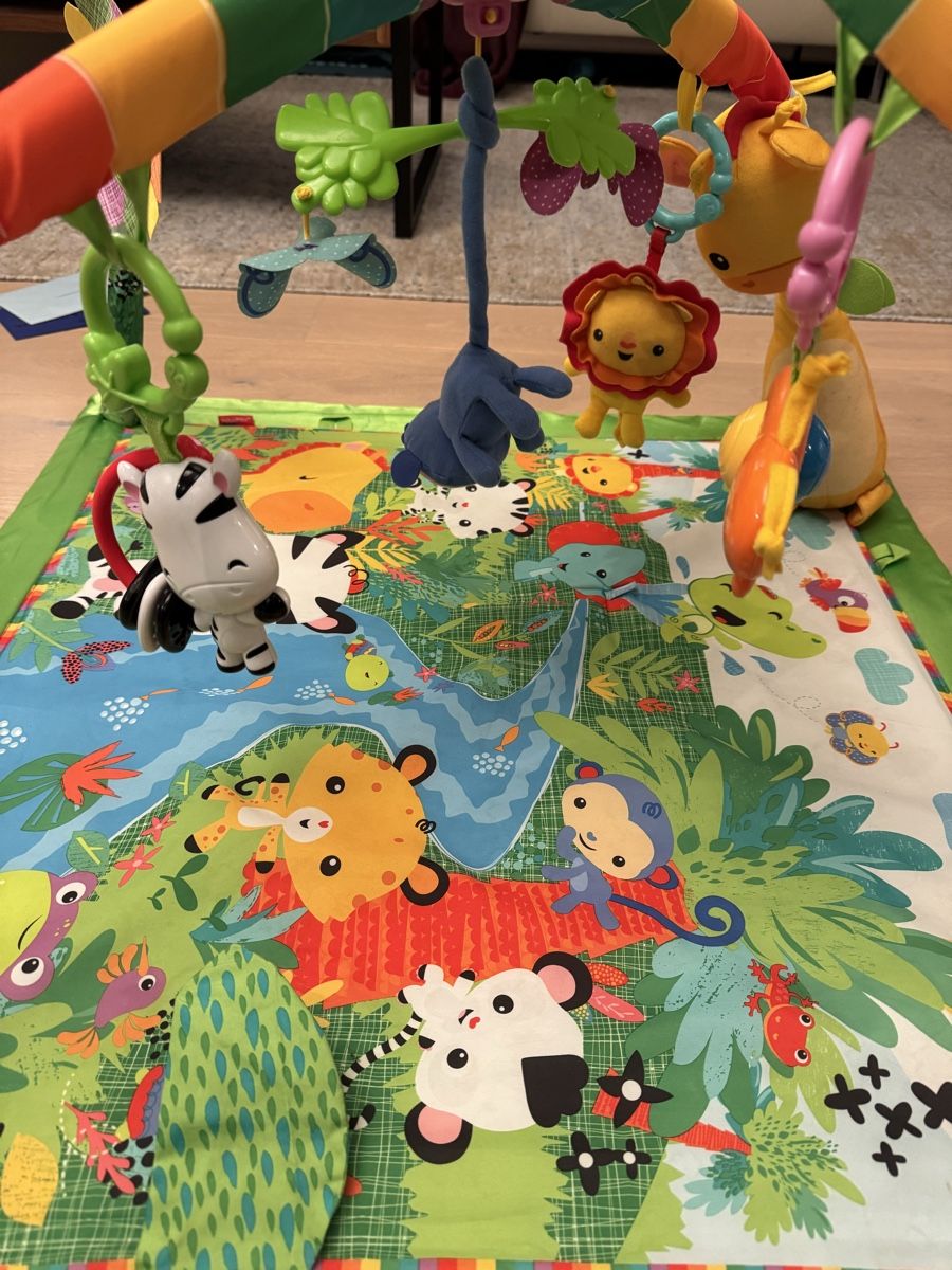 Fisher-Price Tappeto da gioco: Fisherprice Spielbogen – Usato da Bülach venduto da opqrs 1