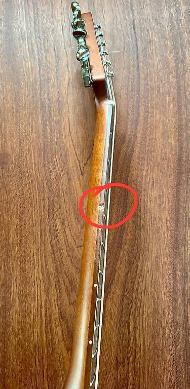 Fender Strumenti musicali: Fender Malibù – Usato da Monteggio venduto da mil_58n9 3