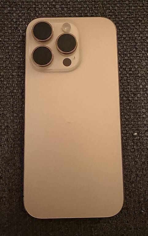 Apple Telefoni cellulari / Smartphones: Apple iPhone 16 Pro 1 TB Desert Titanium – Usato da Therwil venduto da Basilea88 2
