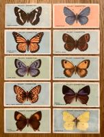 1927 - 10 Antike BRITISH BUTTERFLIES Sammelbilder England