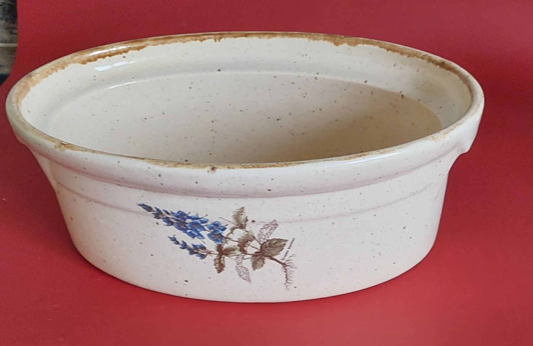 Elettrodomestici da cucina: Auflaufform mit Pflanzen bemalt. Mit Deckel. – Nuovo (secondo la descrizione) da Zizers venduto da Pinot55 3