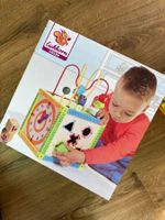 Multi Activity Cube 12M+