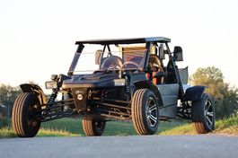 Buggy, Joyner Walker 1100 spezial