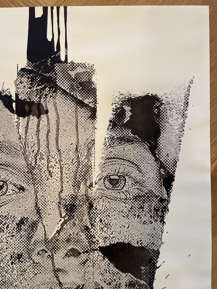 Grafica & Litografie: Vhils - Street Art – Nuovo e nell'imballaggio originale da La Tour-de-Trême venduto da ArtEnVue 3