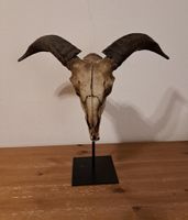 Dekorativer Widder-Schädel aus Kunstharz im Boho-Stil