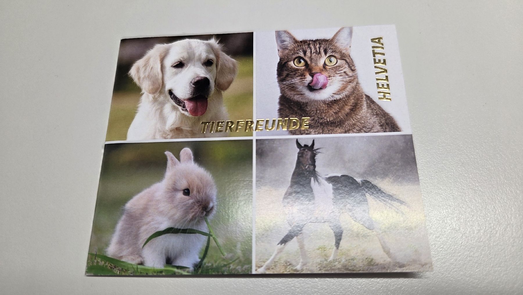 Tutti i francobolli: 2019 FDC Folder Tierfreunde – Usato da Arni AG venduto da Moth68