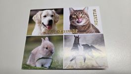 2019 FDC Folder Tierfreunde