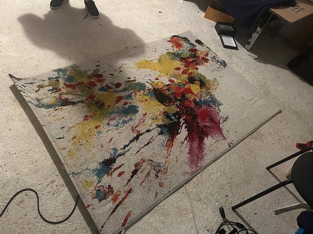 Tapis: Tapis de salon, – D'occasion à Bernex par yfw_xj2z