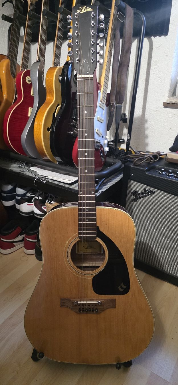 Aria Strumenti musicali: Aria acoustic 12 String Guitar  – Difettoso da Chur venduto da ACE18