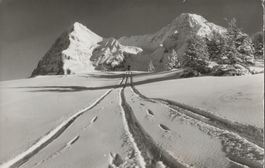 Fotokarte Gabi, Wengernalp, Eiger & Mönch, 1932