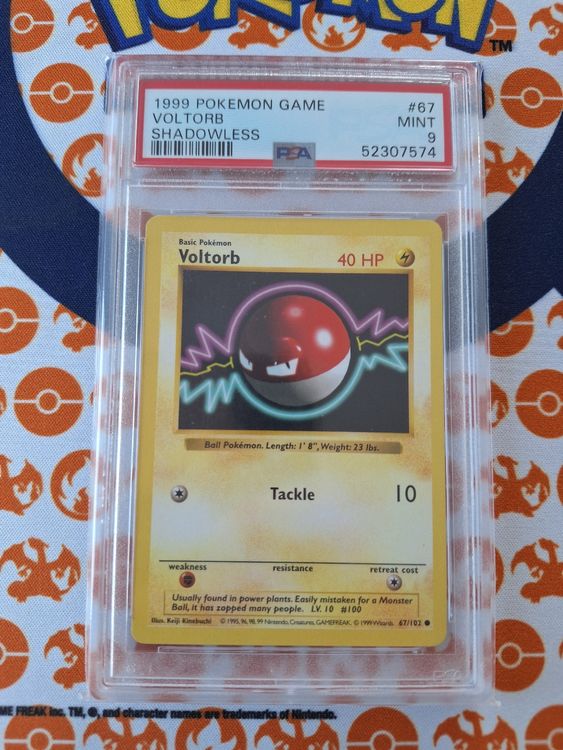 Pokemon Voltorb Shadowless 67 PSA 9 Mint Vintage Englisch (Neu (gemäss ...