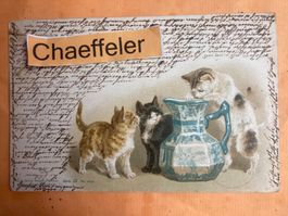 Postkarte von 1898 mit Deutscher Marke