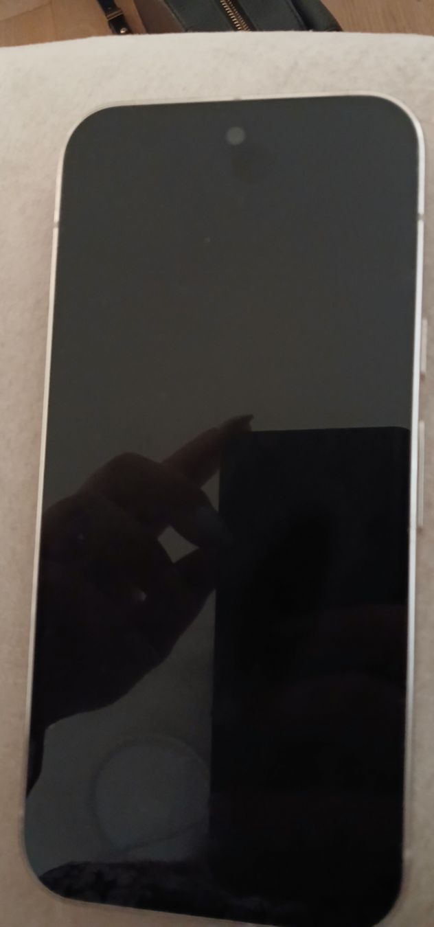 Google Telefoni cellulari / Smartphones: Google Pixel 10 XL Pro – Usato da Düdingen venduto da AlenaZ93 1