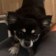Profile image of TJ.