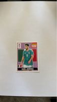 Panini Extra Sticker Raúl Jiménez