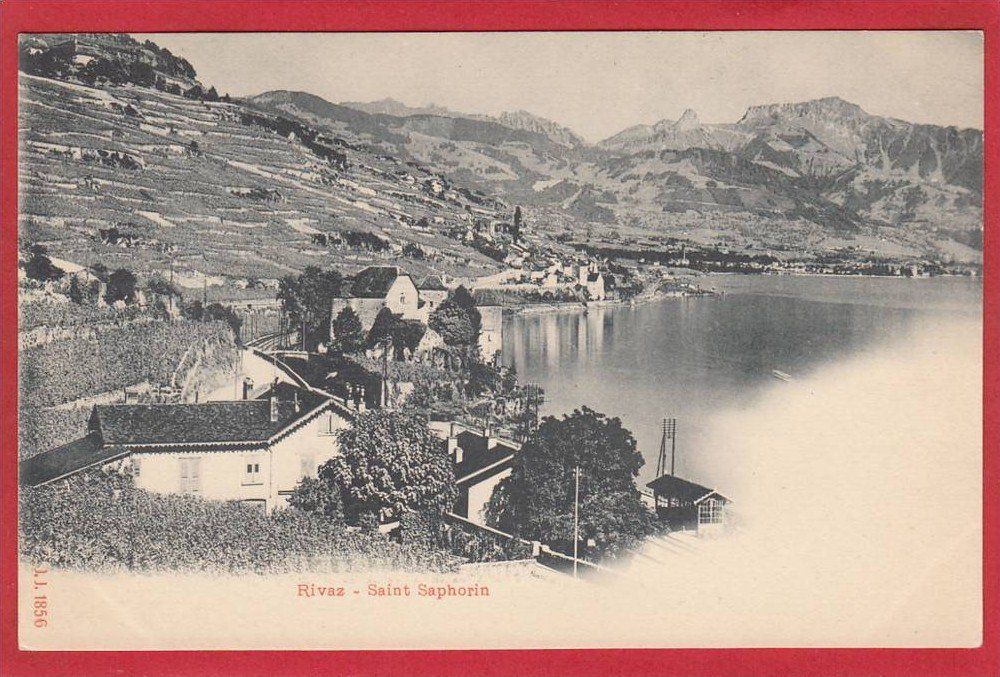 Cartoline postali: RIVAZ - ST. SAPHORIN PHOTOTYPIE – Usato da Grüningen venduto da Kartenlaube