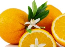 15 Samen Sizilianische Orange «BLOND" (zur Keimung)‪