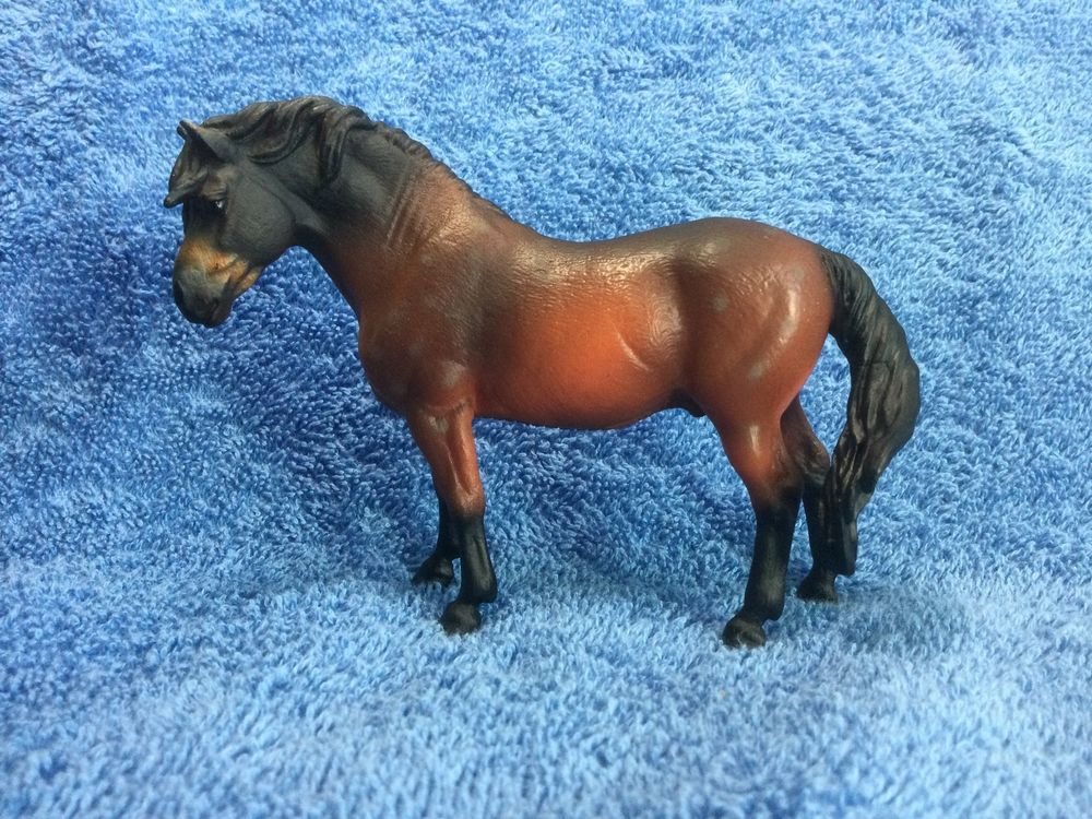 Collecta Dartmoor Pony. Kaufen auf Ricardo