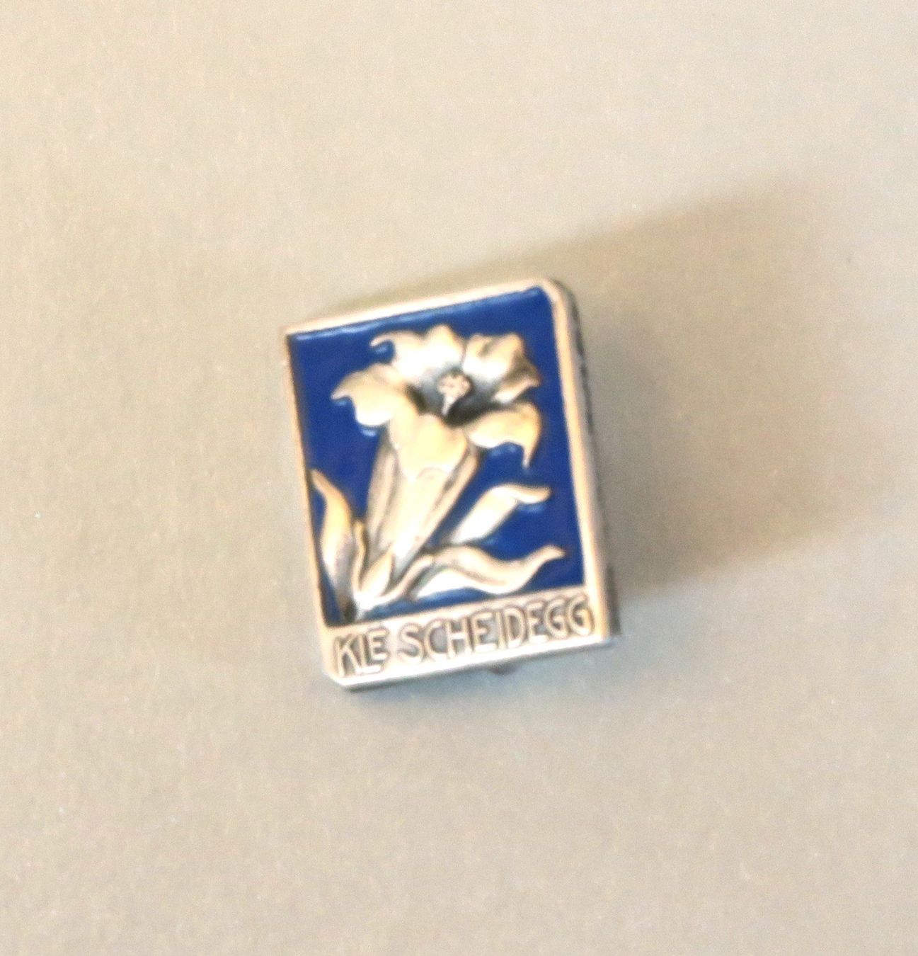 Placchette & Badge: Pin/Brosche Enzian, kleine Scheidegg – Usato da Brittnau venduto da marlenestone