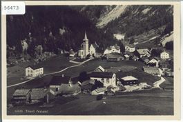 Trient - Vue generale