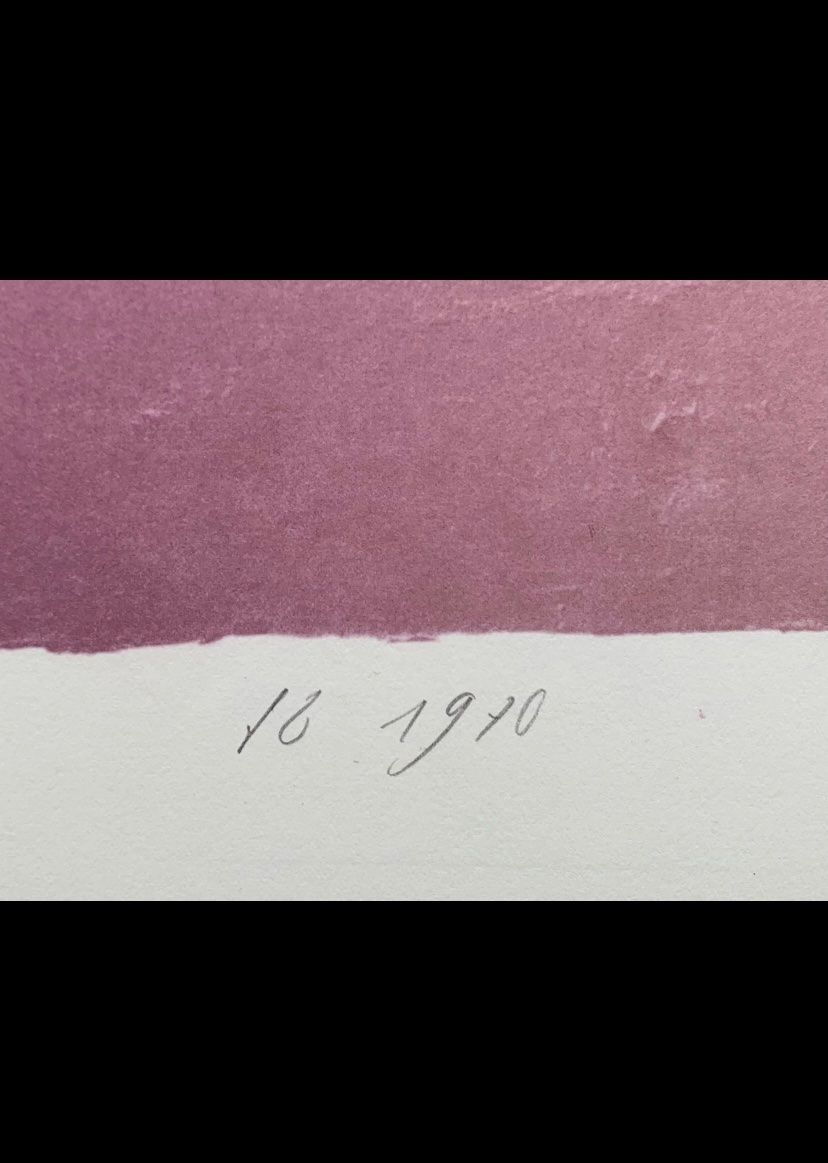 Grafica & Litografie: Franz Eggenschwiler Serigraphie handsigniert – Usato da Olten venduto da sportwelt 5