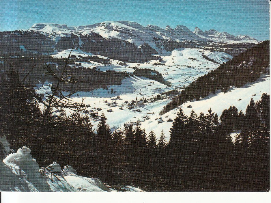 Cartoline postali: Wildhaus 1973 – Usato da Bürglen TG venduto da StampGraf