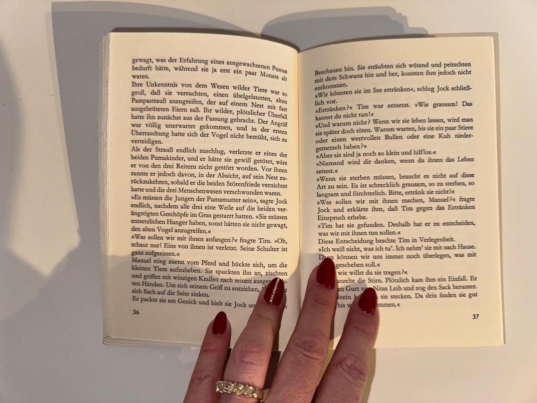Libri: Buch: Helen Griffith, Wild und frei – Usato da Grosswangen venduto da Second_hand_paradise 2