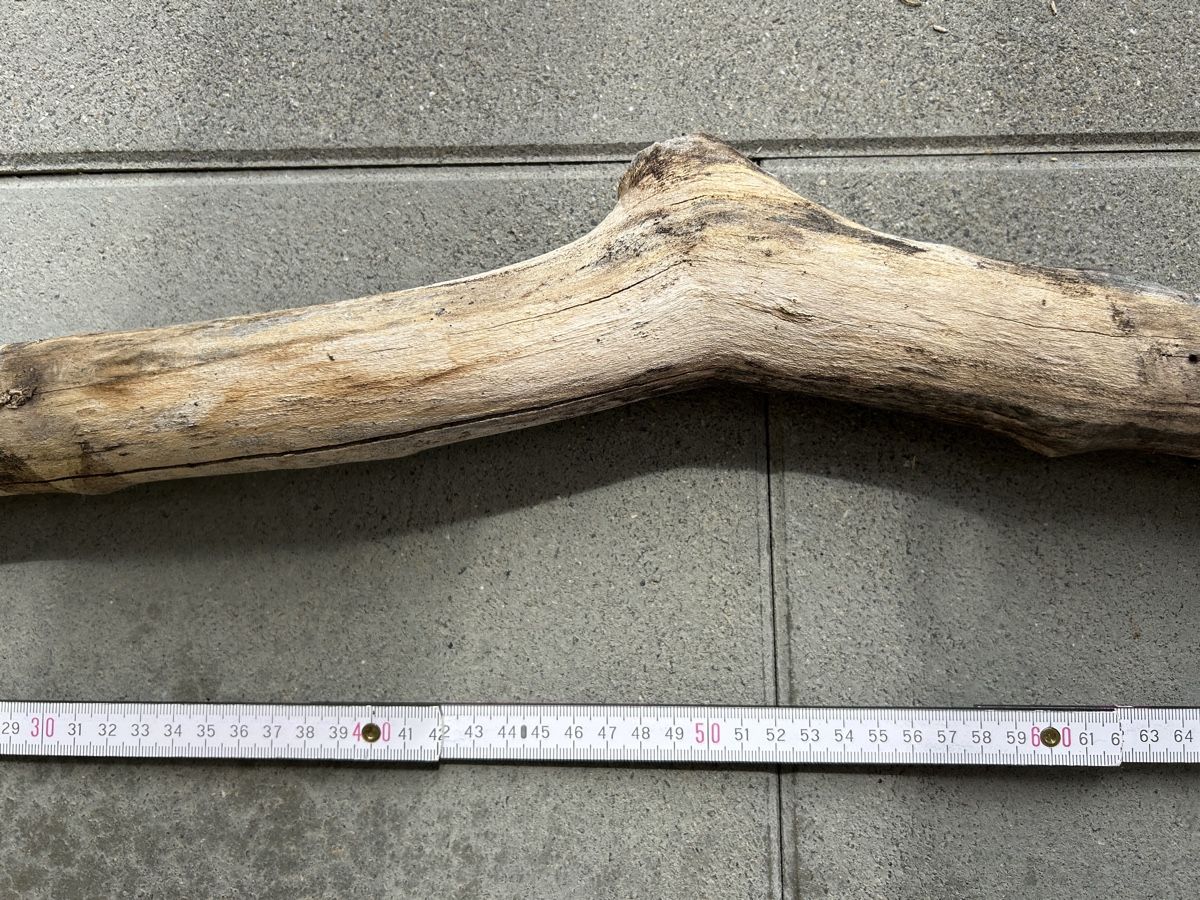 Articoli in legno: Schwemmholz Ast 104 cm lang  – Nuovo (secondo la descrizione) da St. Urban venduto da uschi73 3