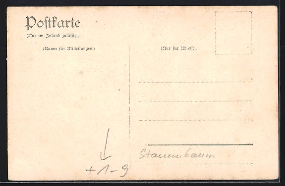 Cartoline postali: Oldenburg / O., Stammbaum des Weser-Ems- – Usato da Berlin venduto da bartko-reher 1