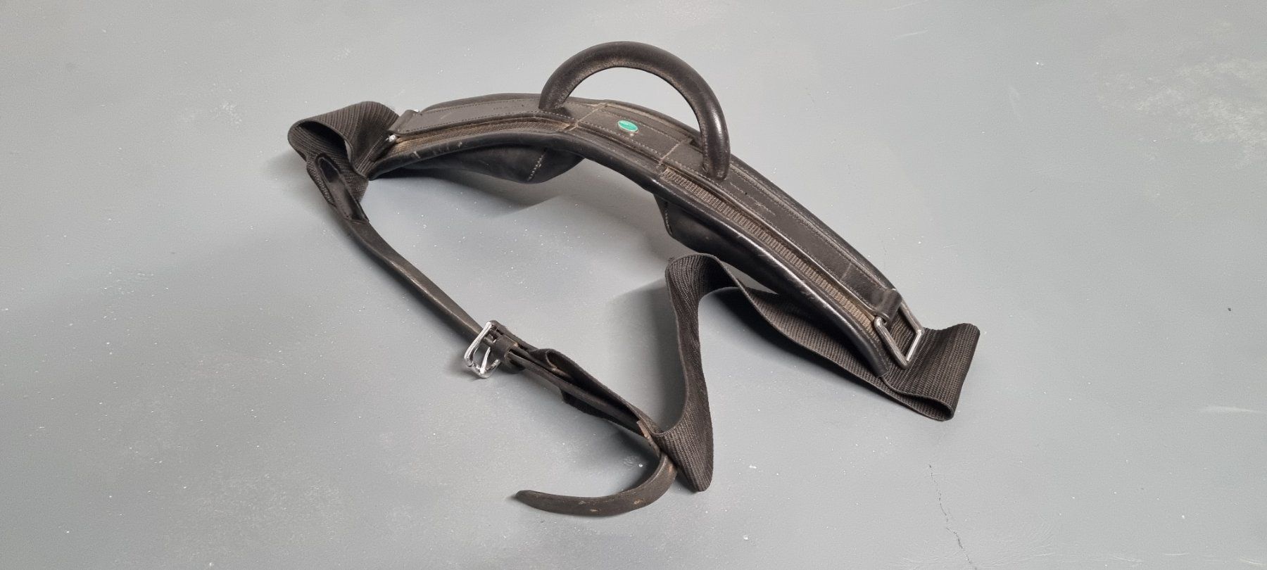 Norton Selle & Accessori: Reitgurt für Pony – Usato da Lyss venduto da mel_td7r