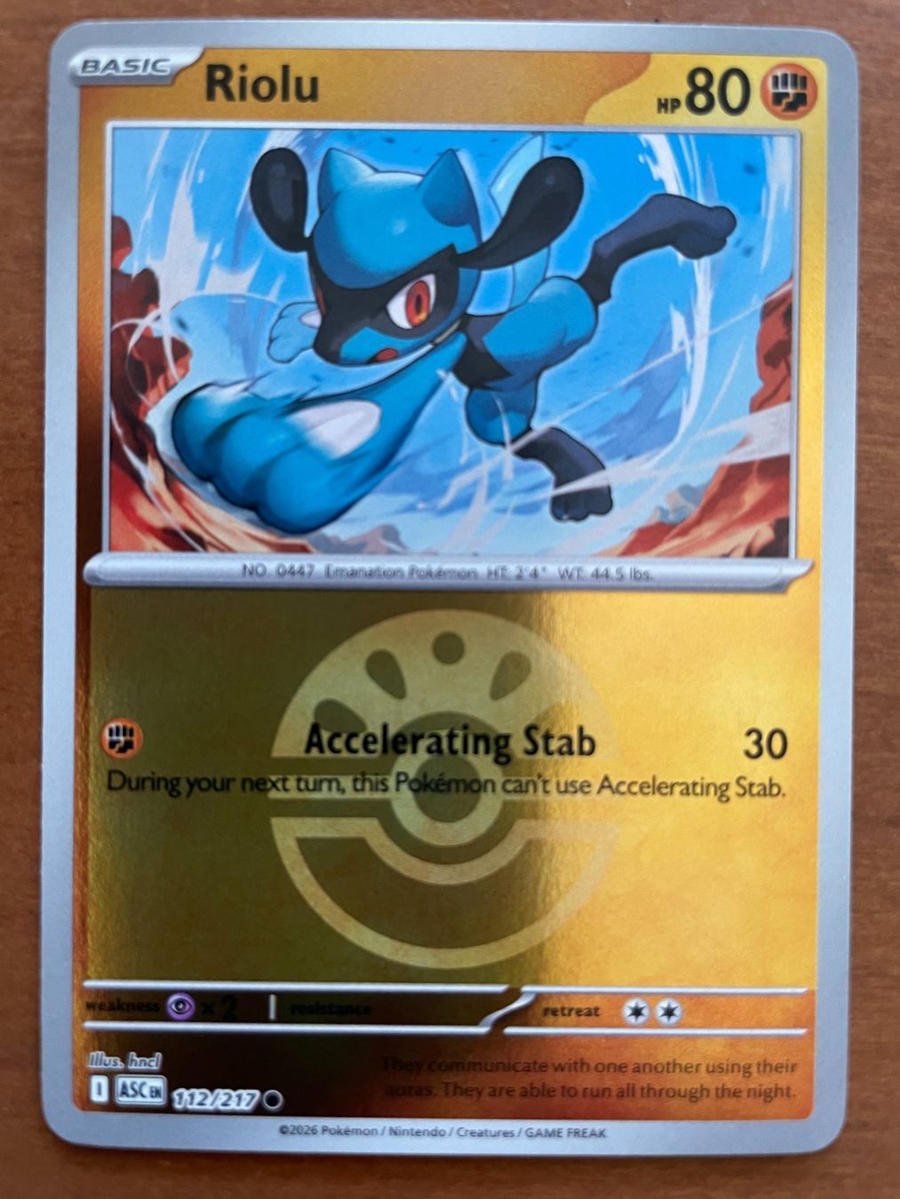 Pokémon Carte collezionabili: Pokemon Riolu Reverse (Versand gratis) – Nuovo (secondo la descrizione) da Chur venduto da Angerson