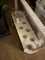 Click & Grow Smart Garden