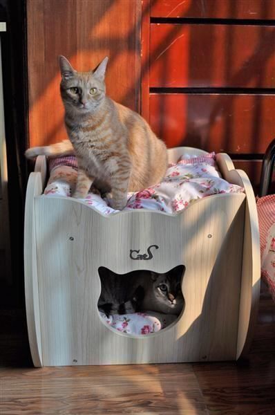 Cucce & Letti: CatS Design "Step 2 Kätzchenbettchen" CH – Nuovo e nell'imballaggio originale da Mönchengladbach venduto da Zoopplier 6