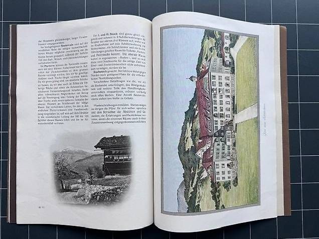 Libri: Die Idee von Schiers  – Usato da Mühlau venduto da Fugo01 2