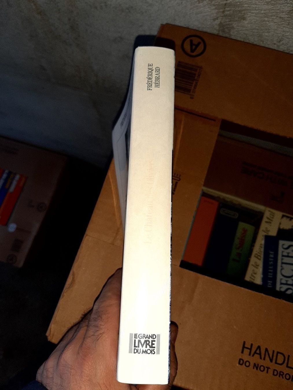 Libri: le chateau des oliviers – Usato da Le locle venduto da juliensaran 1