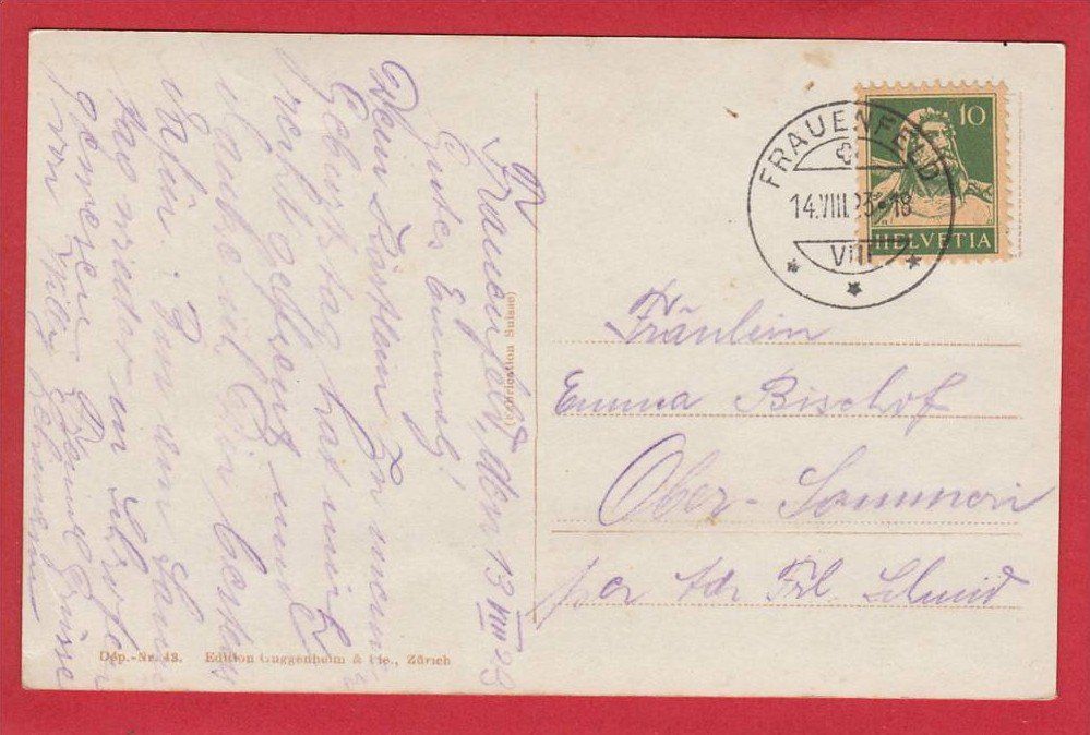Cartoline postali: FRAUENFELD – Usato da Grüningen venduto da Kartenlaube 1