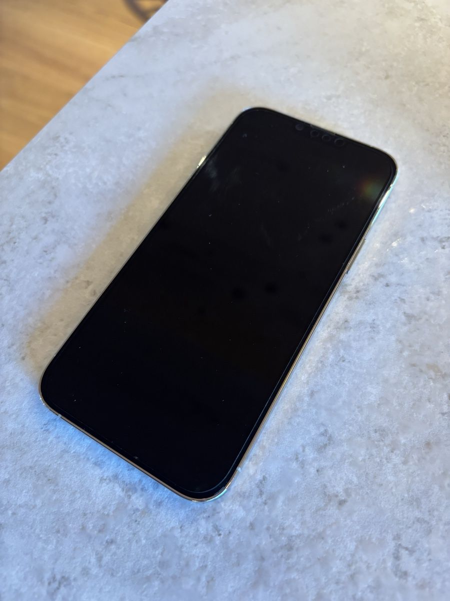 Apple Telefoni cellulari / Smartphones: Apple iPhone 13 Pro Max 256GB weiss / silver – Usato da Saanen venduto da Hanschristian