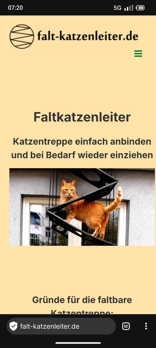 Scale: Faltkatzenleiter échelle à chat pliable – Usato da Fribourg venduto da cottingm 1
