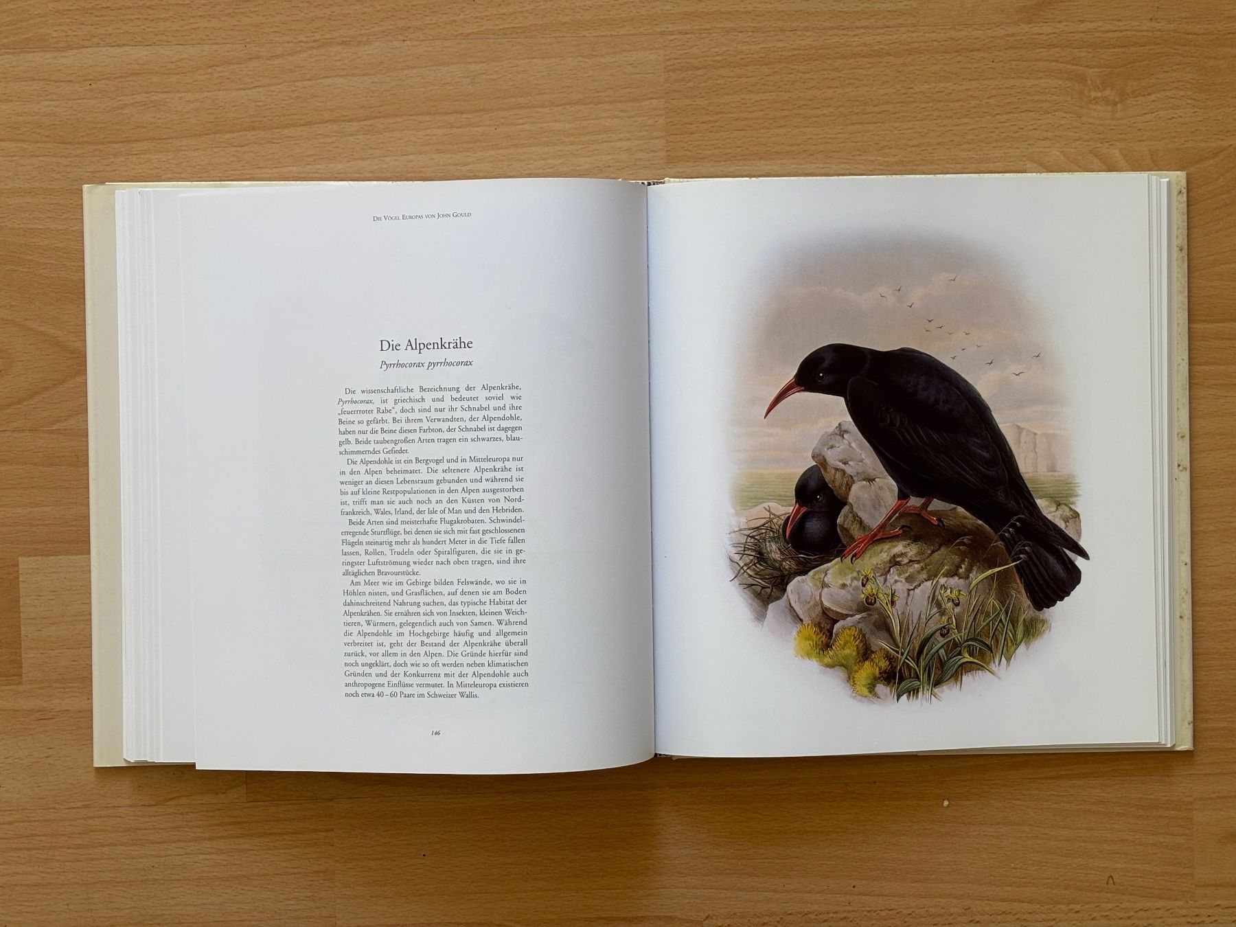 Libri: Die Vögel Europas von John Gould – Usato da Zürich venduto da Masaiti 7