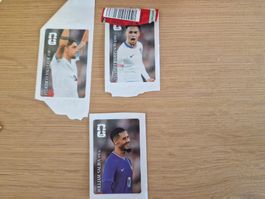 Panini coca cola Sticker WM 2026