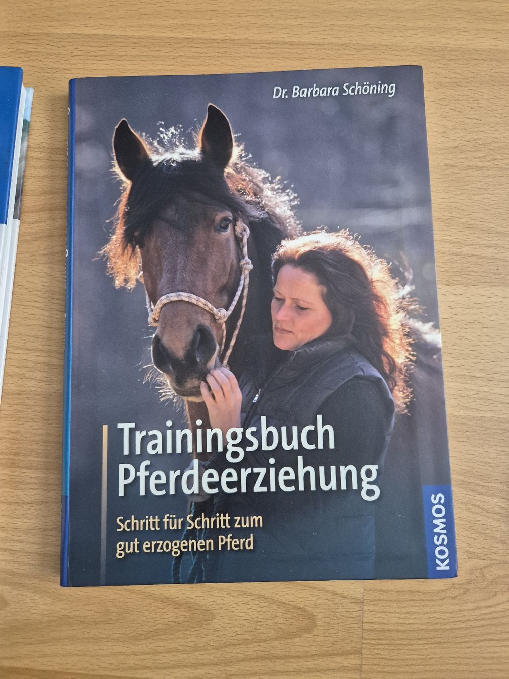 Briglie & Cavezze: Pferdefachbuch "Trainingbuch Pferdeerziehung" – Nuovo (secondo la descrizione) da Meggen venduto da Orrinka20