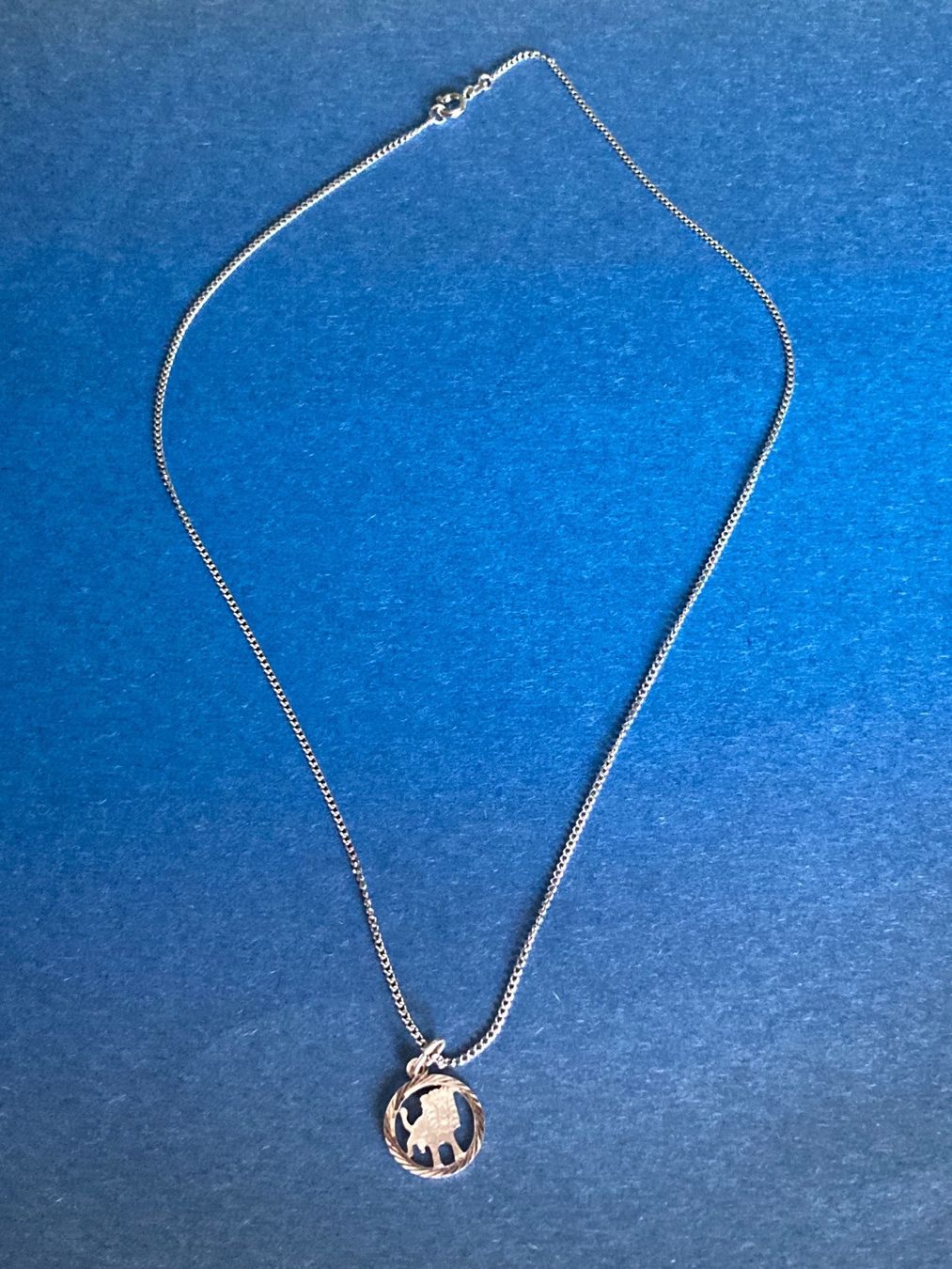 Ciondoli: Silber Löwen Anhänger (45cm) – Usato da Laufen venduto da Trendmarket 7