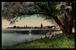 AK Morges, Uferpartie mit Baum und Ortsansicht